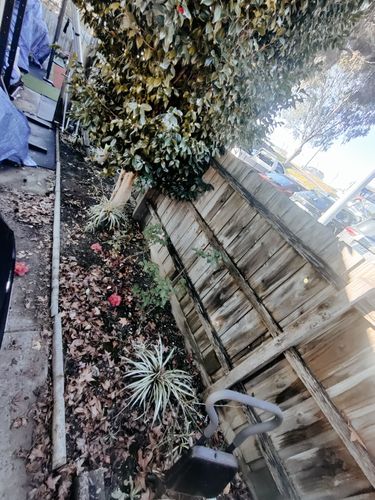 IMG_20240710_145259.jpg IMG_20240710_145259.jpg