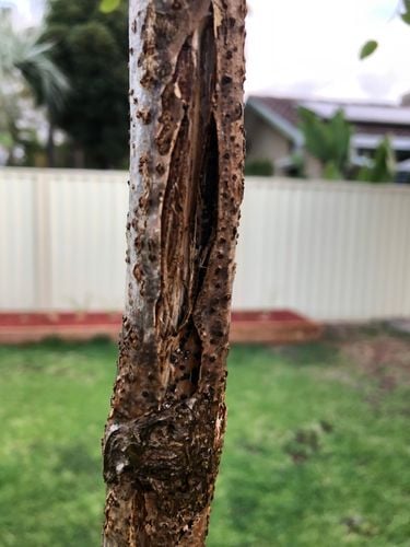 71C6F8A0-17B0-4313-8E74-768BBBD8023B.jpeg 71C6F8A0-17B0-4313-8E74-768BBBD8023B.jpeg