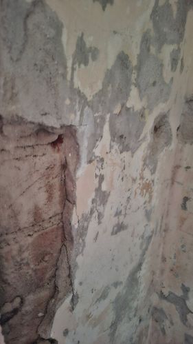 1000010470.jpg 1000010470.jpg