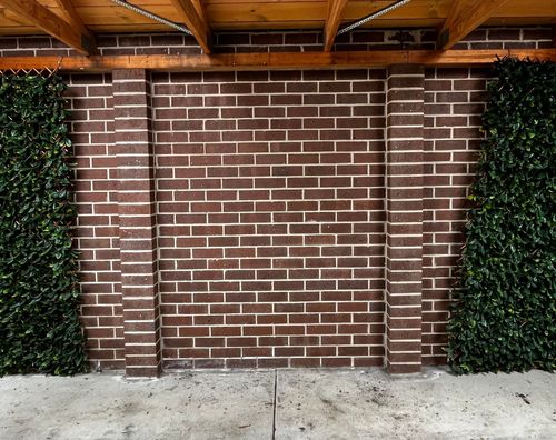 IMG_7251.jpeg IMG_7251.jpeg