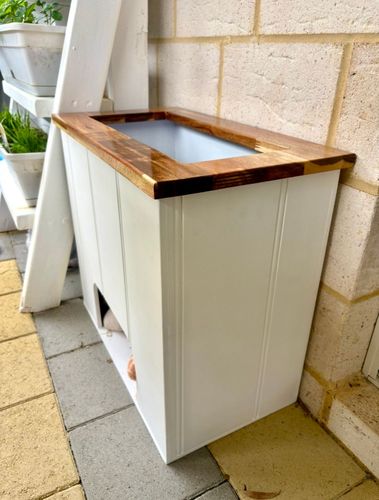 IMG_3205.jpeg IMG_3205.jpeg