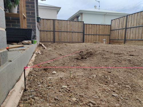 IMG_20241103_183439.jpg IMG_20241103_183439.jpg