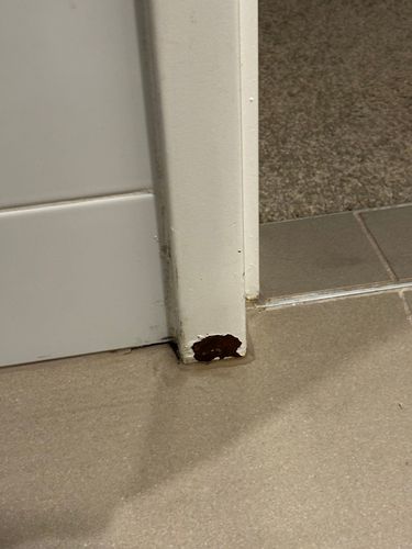 IMG_5908.jpeg IMG_5908.jpeg