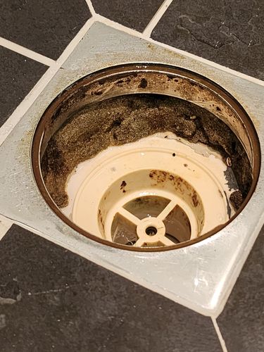 1000039721.jpg 1000039721.jpg