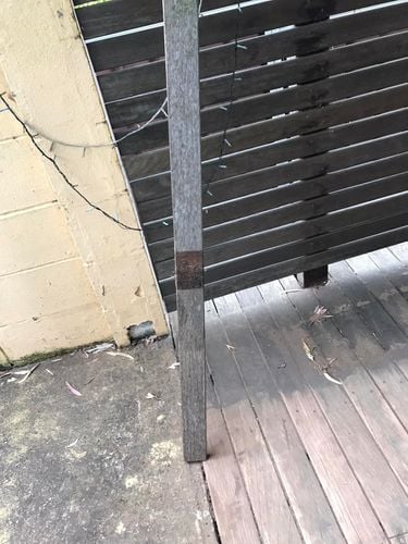 21 14-11-2023.jpg 21 14-11-2023.jpg