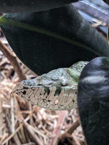 1000040781.jpg 1000040781.jpg