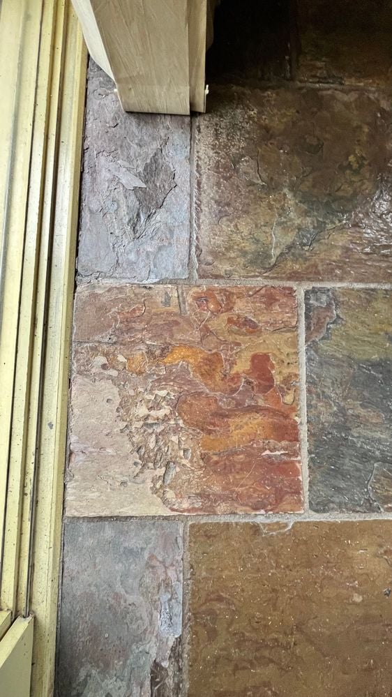 IMG_3244.jpg IMG_3244.jpg