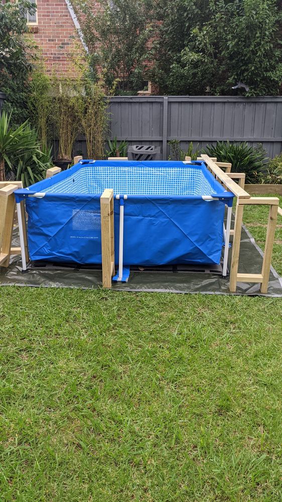 PXL_20210101_061015392.MP.jpg PXL_20210101_061015392.MP.jpg