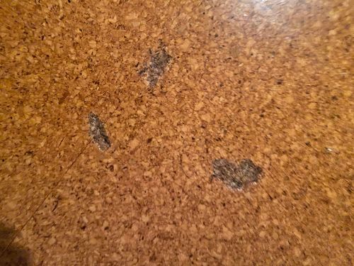 DC5E2542-5382-4AD0-9BC1-140F807D2C03.jpeg DC5E2542-5382-4AD0-9BC1-140F807D2C03.jpeg