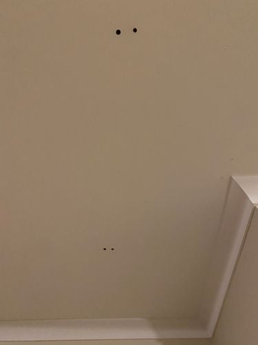 IMG_4231.jpeg IMG_4231.jpeg