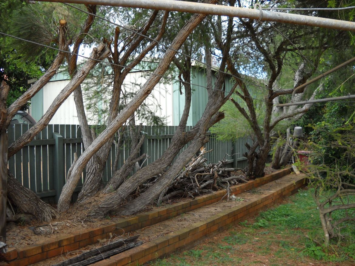 DSCN2104.jpg DSCN2104.jpg