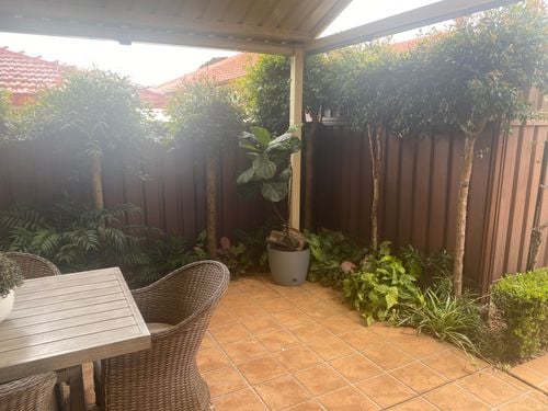 5EF9140C-0EB1-40B0-8D45-8757634F9D93.jpeg 5EF9140C-0EB1-40B0-8D45-8757634F9D93.jpeg