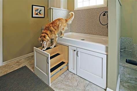 dog shower.jfif dog shower.jfif