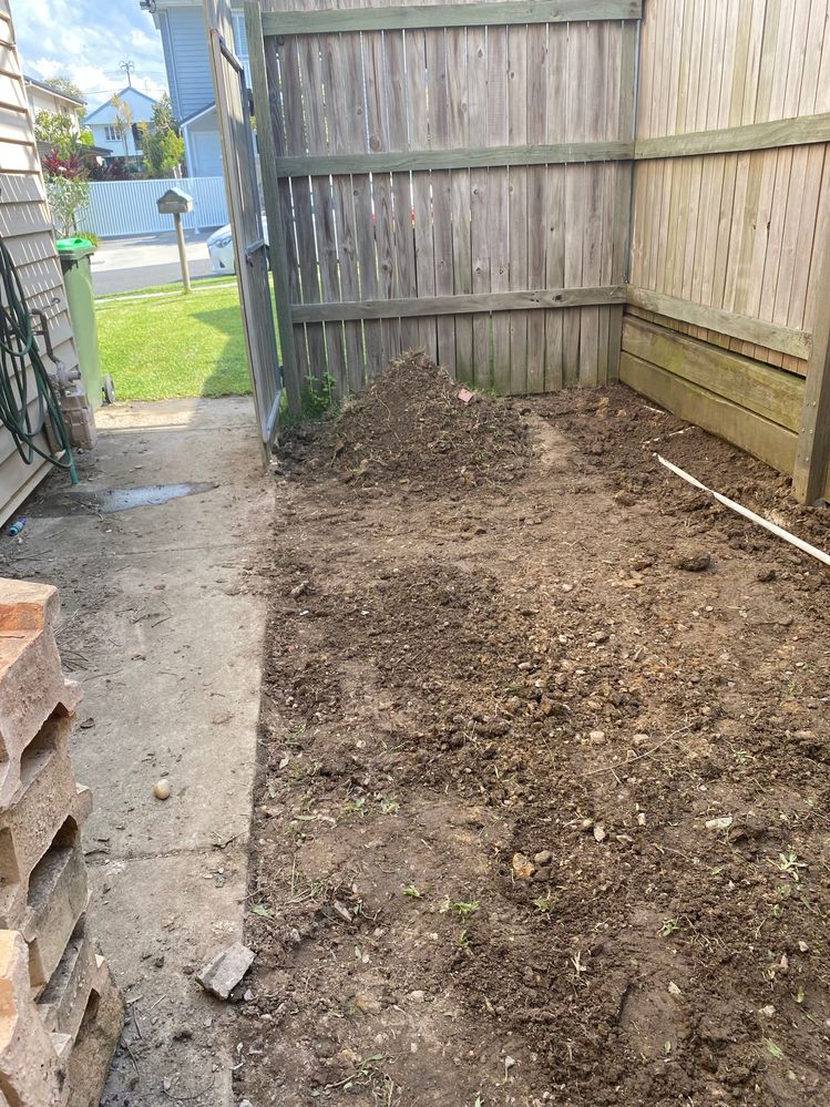 F125573D-1BBB-45CE-B486-3BC9CED0BFFE.jpeg F125573D-1BBB-45CE-B486-3BC9CED0BFFE.jpeg