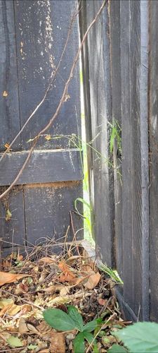 Messenger_creation_685b90f8-24a1-4a07-b47a-e49c12978506.jpeg Messenger_creation_685b90f8-24a1-4a07-b47a-e49c12978506.jpeg