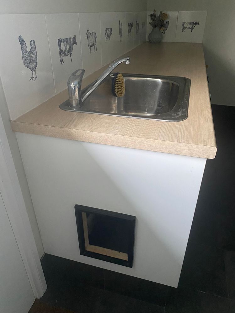 IMG_4665.jpeg IMG_4665.jpeg