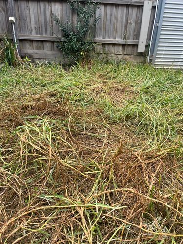 IMG_6223.jpg IMG_6223.jpg