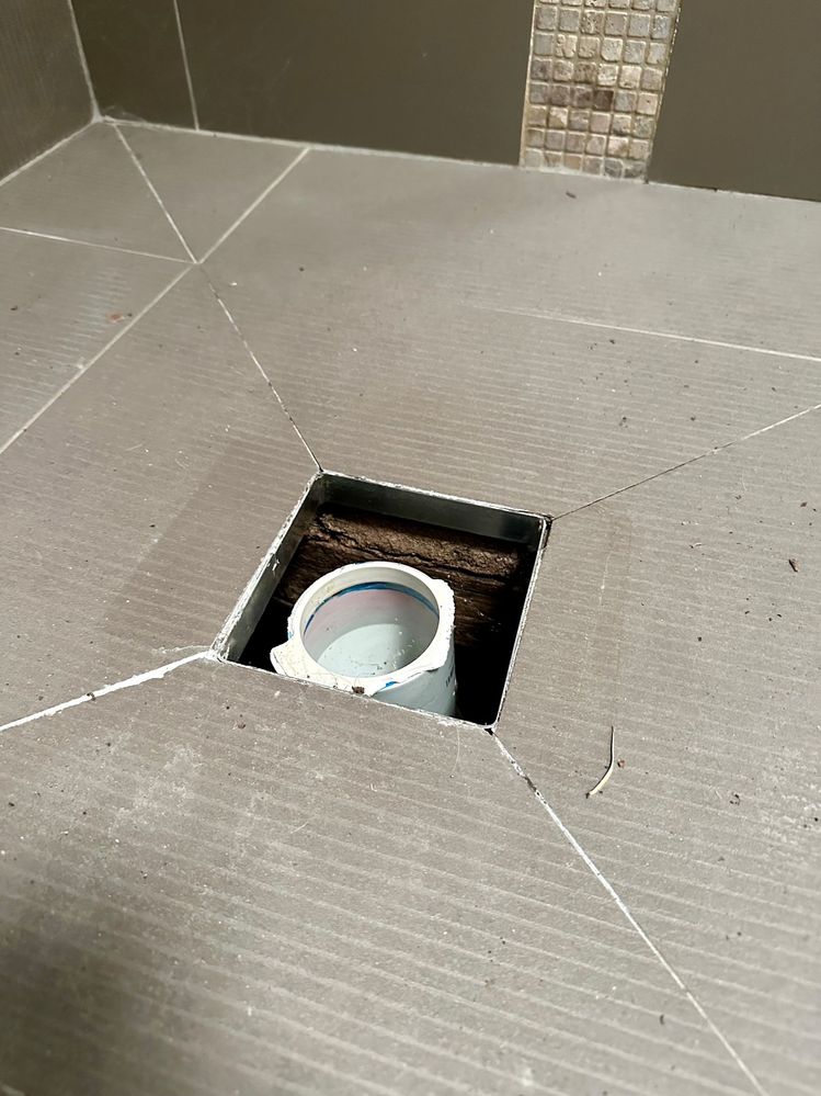 IMG_9719.jpg IMG_9719.jpg