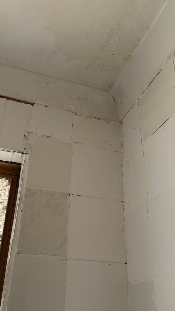 0F530630-561D-4635-B14F-3338DE64E7F7.jpeg 0F530630-561D-4635-B14F-3338DE64E7F7.jpeg