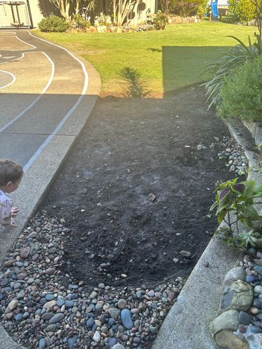 IMG_2436.jpeg IMG_2436.jpeg