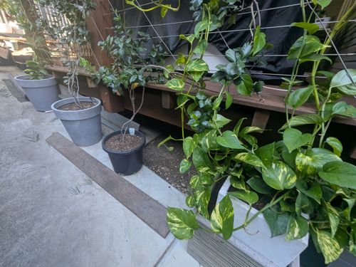 1000013516.jpg 1000013516.jpg