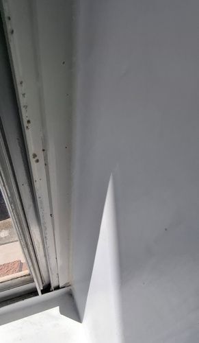 1000041180.jpg 1000041180.jpg