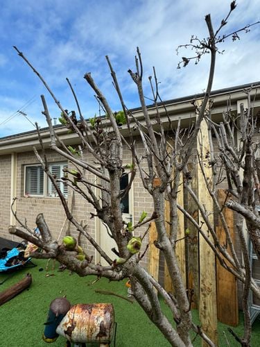 IMG_4547.jpeg IMG_4547.jpeg