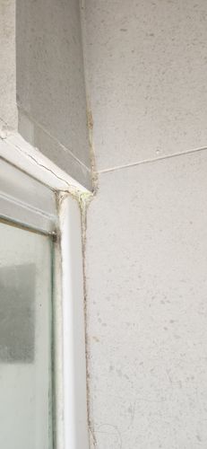 1000060460.jpg 1000060460.jpg