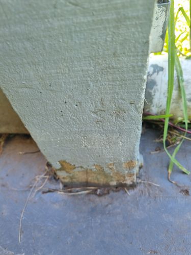 1000042382.jpg 1000042382.jpg