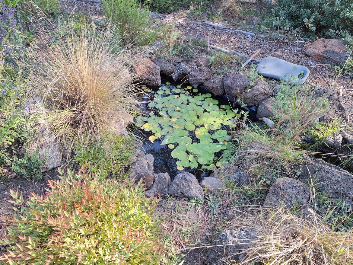 20250409_143737.jpg 20250409_143737.jpg