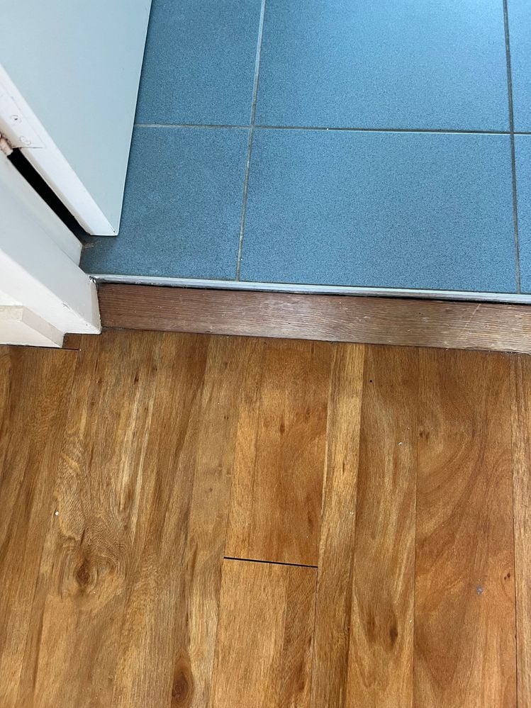 IMG_2869.jpeg IMG_2869.jpeg