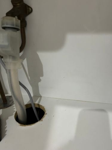 IMG_2378.jpeg IMG_2378.jpeg