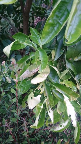 DSC_1881.JPG DSC_1881.JPG