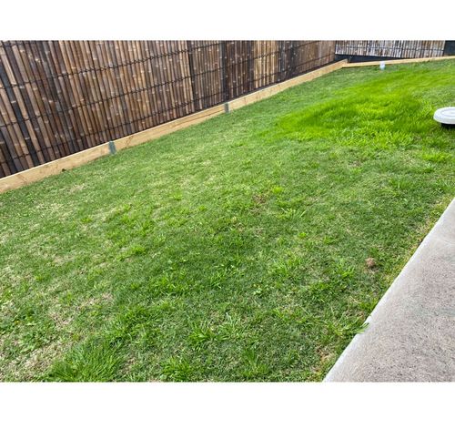 IMG_5698.jpeg IMG_5698.jpeg