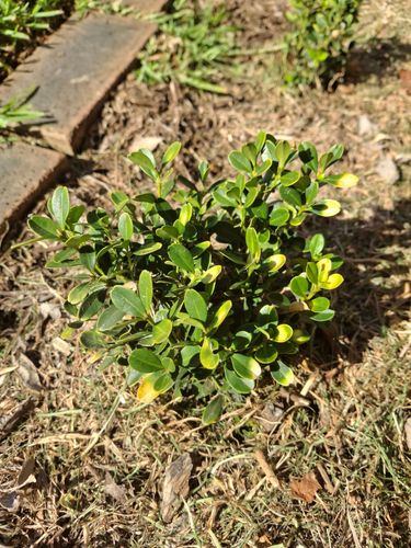 1000003230.jpg 1000003230.jpg