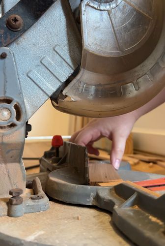 IMG_4174.jpeg IMG_4174.jpeg