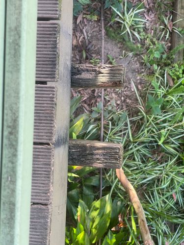 IMG_0770.jpeg IMG_0770.jpeg