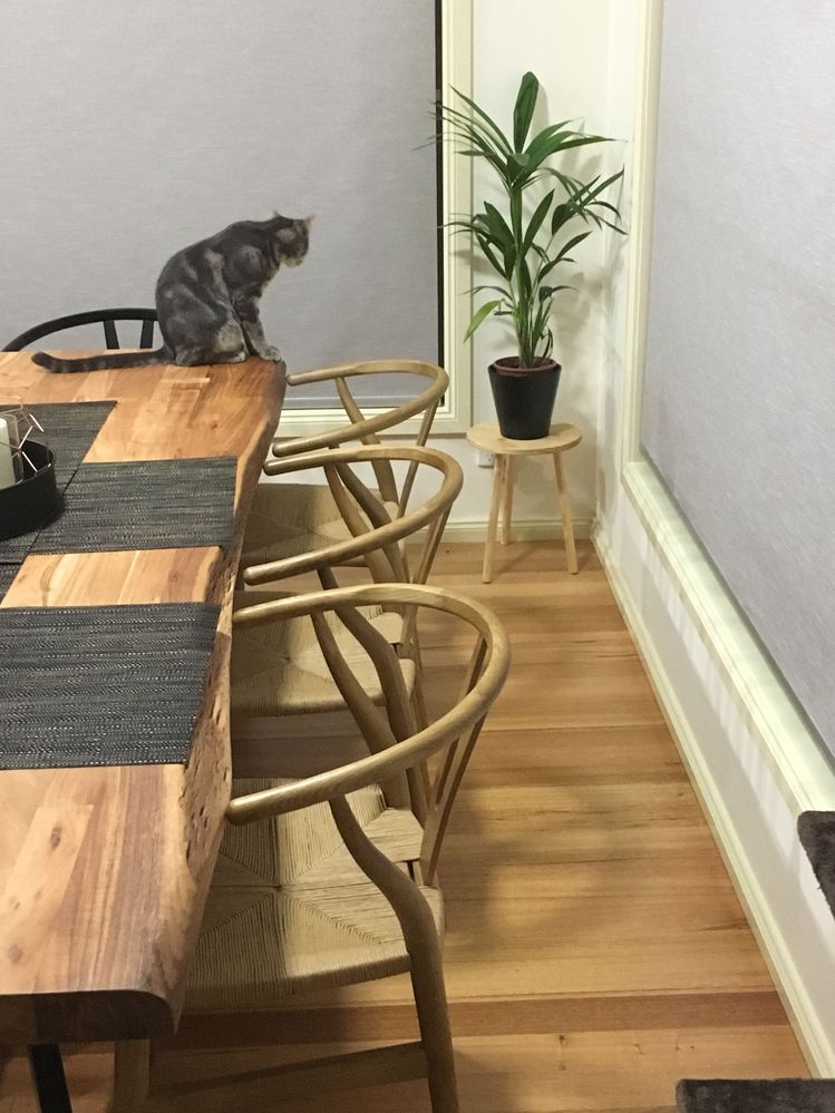 A8C46548-E9B8-4C39-B28A-DD5970A3B402.jpeg A8C46548-E9B8-4C39-B28A-DD5970A3B402.jpeg