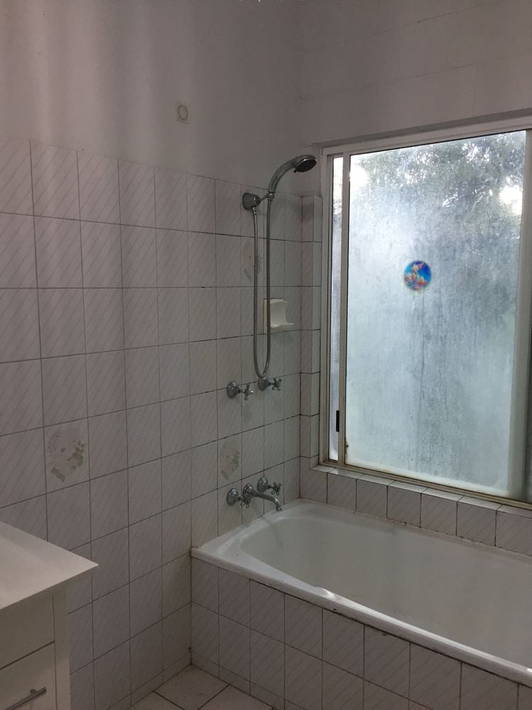 IMG_8814.jpeg IMG_8814.jpeg