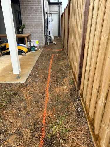 IMG_1814.jpeg IMG_1814.jpeg