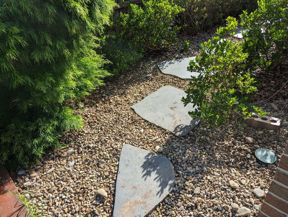 PXL_20230617_023929953.jpg PXL_20230617_023929953.jpg