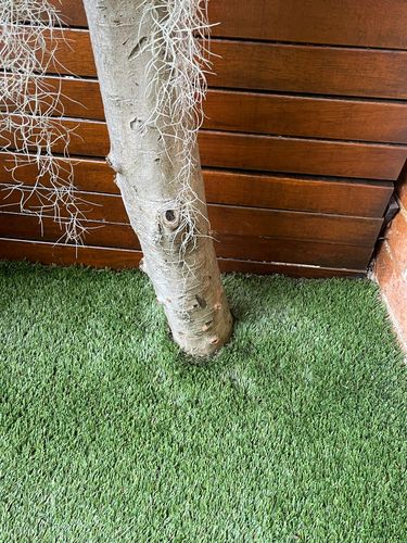 IMG_5203.jpeg IMG_5203.jpeg