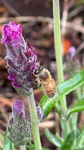 D74EEE6F-C0E6-4219-AACE-ADBF98541D74.jpeg D74EEE6F-C0E6-4219-AACE-ADBF98541D74.jpeg