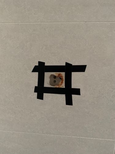 IMG_2934.jpeg IMG_2934.jpeg