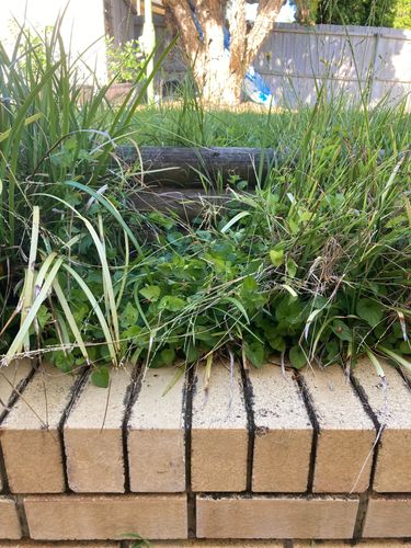 IMG_4919.jpeg IMG_4919.jpeg