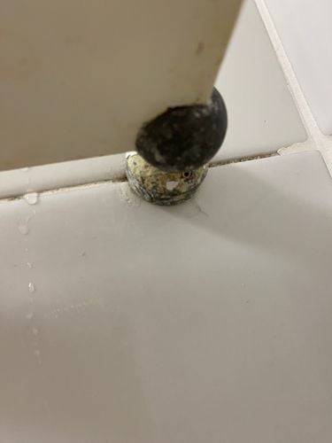 IMG_1362.jpeg IMG_1362.jpeg