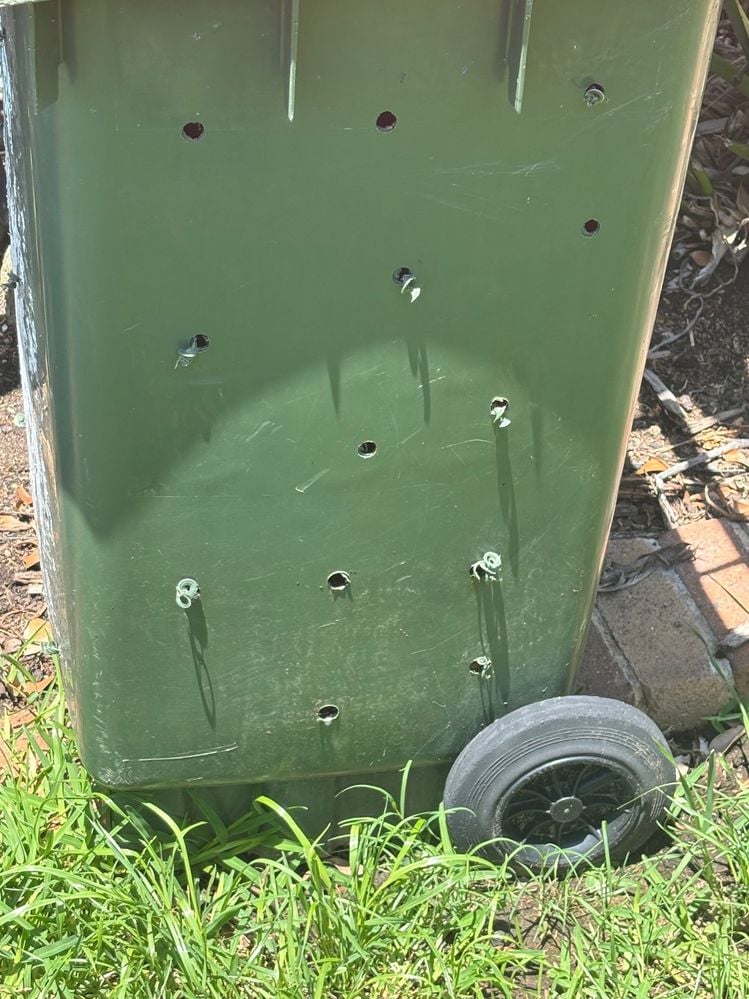 IMG_5482.jpg IMG_5482.jpg