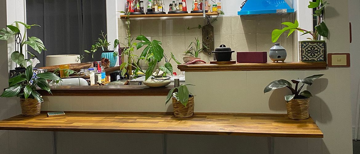 Budget kitchen reno with Acacia benchtops .jpeg Budget kitchen reno with Acacia benchtops .jpeg