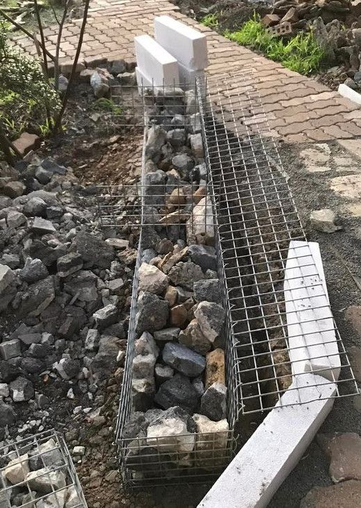 29_17-08-2022.jpg 29_17-08-2022.jpg