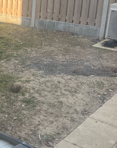 IMG_8870.jpeg IMG_8870.jpeg